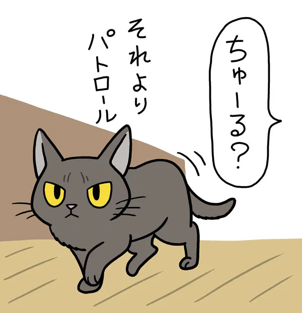 猫様を定期的なアレで病院にお連れした。帰宅後はいつも念入りに点検して回られる。 