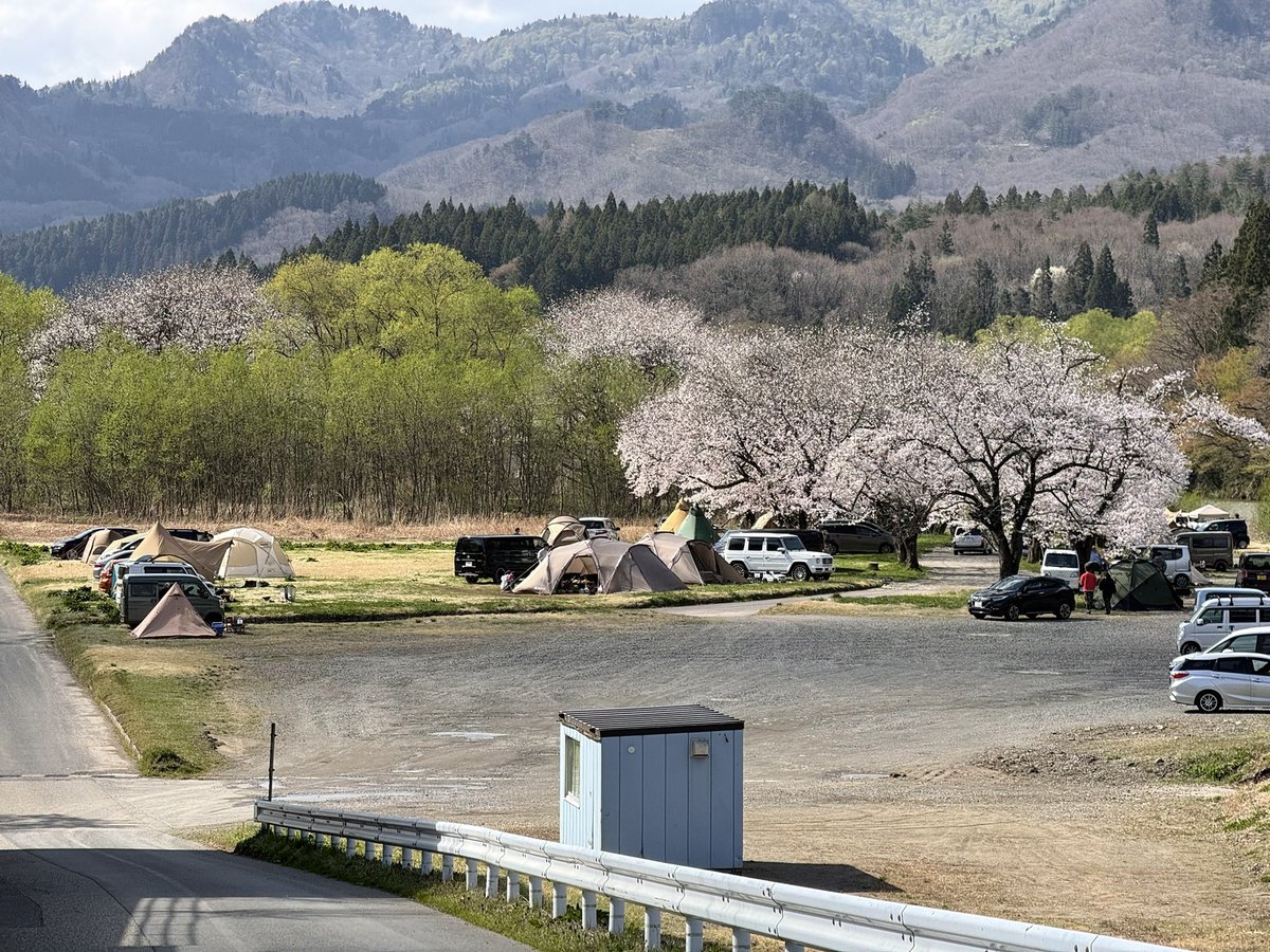 mayanon@ tweet media