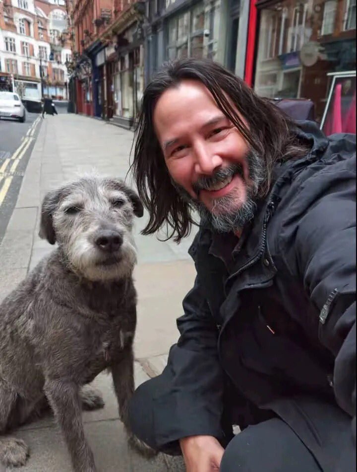 Everythingkeanu tweet media