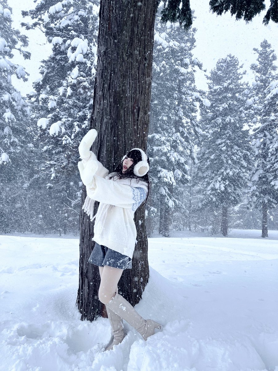 もあ❄️🌸 tweet media