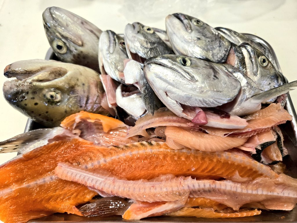 タカマル@Angler's Physical Trainer tweet media