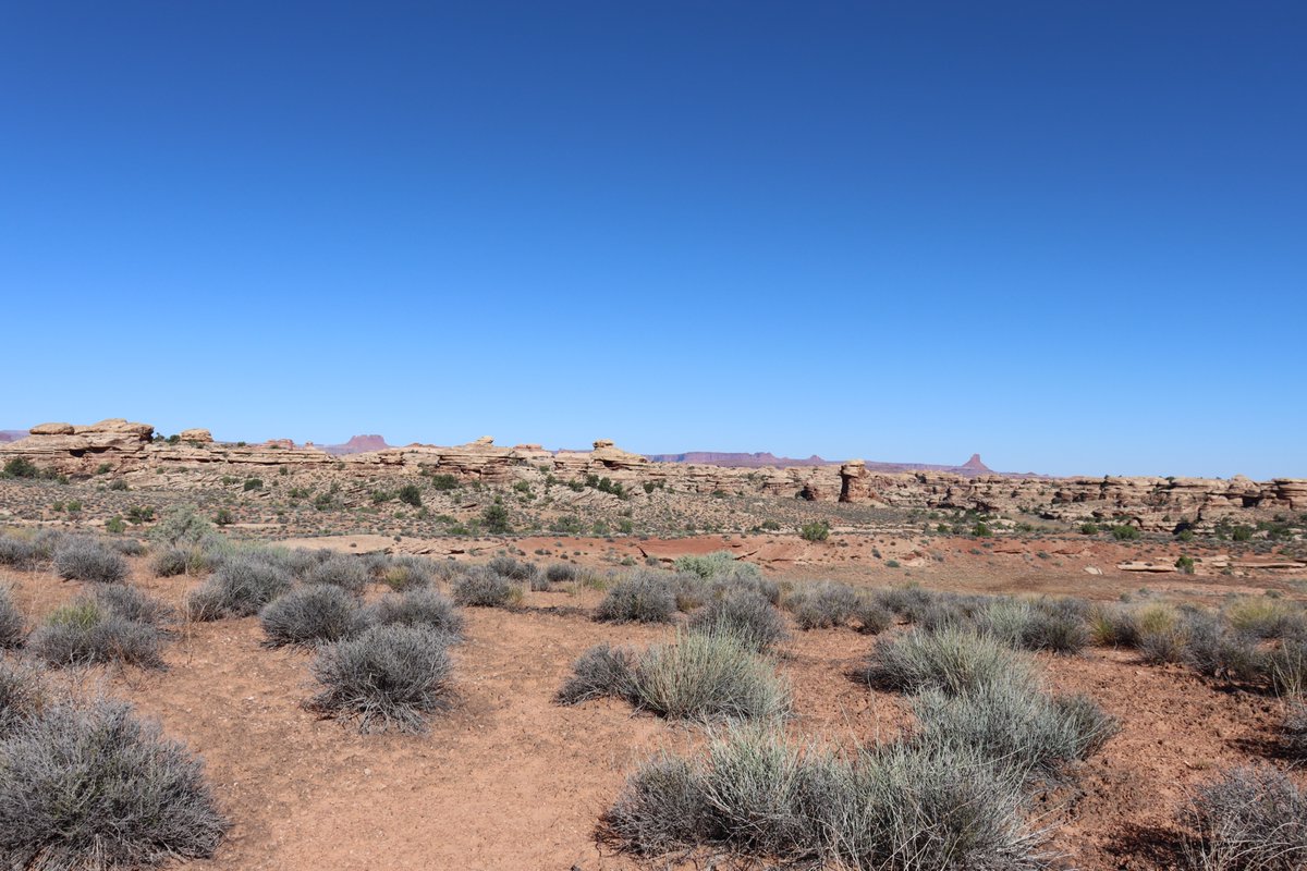 manuelacasasoli's tweet image. From my hikes...

Pure desert beauty.

Utah - 2024

Have a good day!

#hiking #adventures #nature #NatureVibes #desert