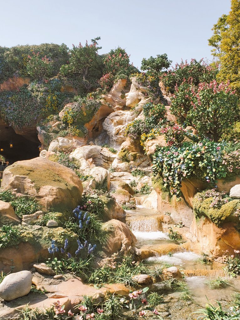 けいけい tweet media