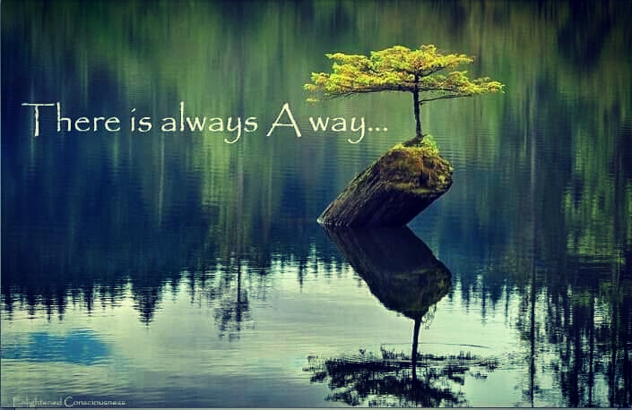 Dragoș Ionescu tweet media