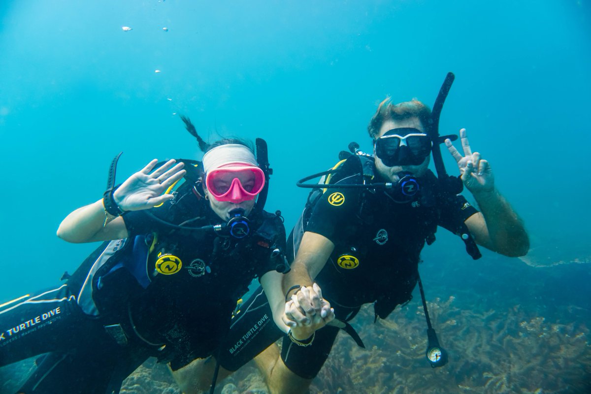 blackturtledive's tweet photo. Fun diving trips in Koh Tao are guided underwater tours designed specifically for already certified divers to explore the island’s most biodiverse coral reefs and shipwrecks. https://t.co/L6Ys3vi6yL #FunDive #KohTao #Thailand #Fun #Corals #Fish #Underwater https://t.co/lv8kQSAzDi