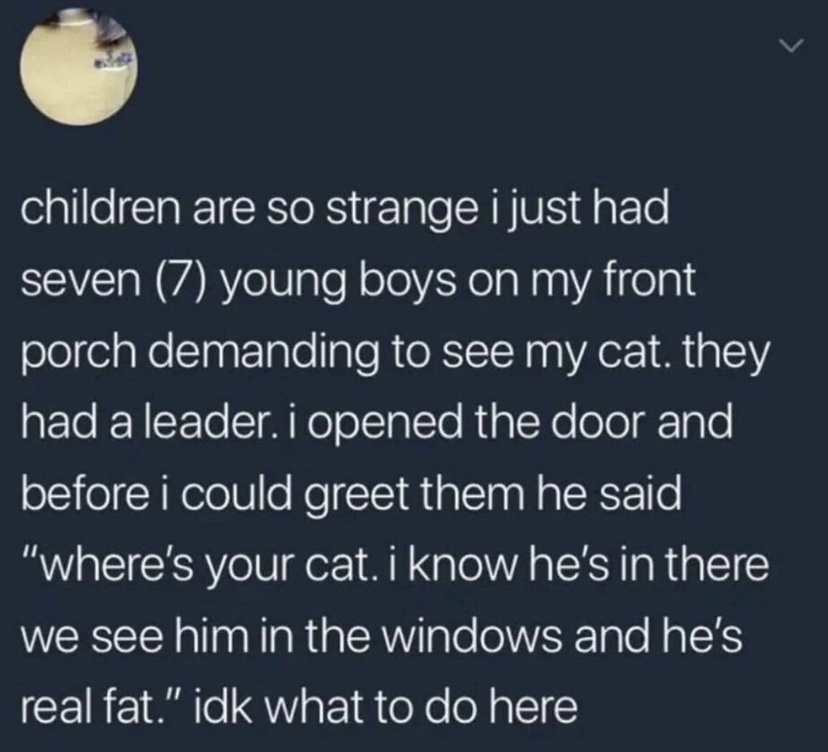 WholesomeMemes tweet media