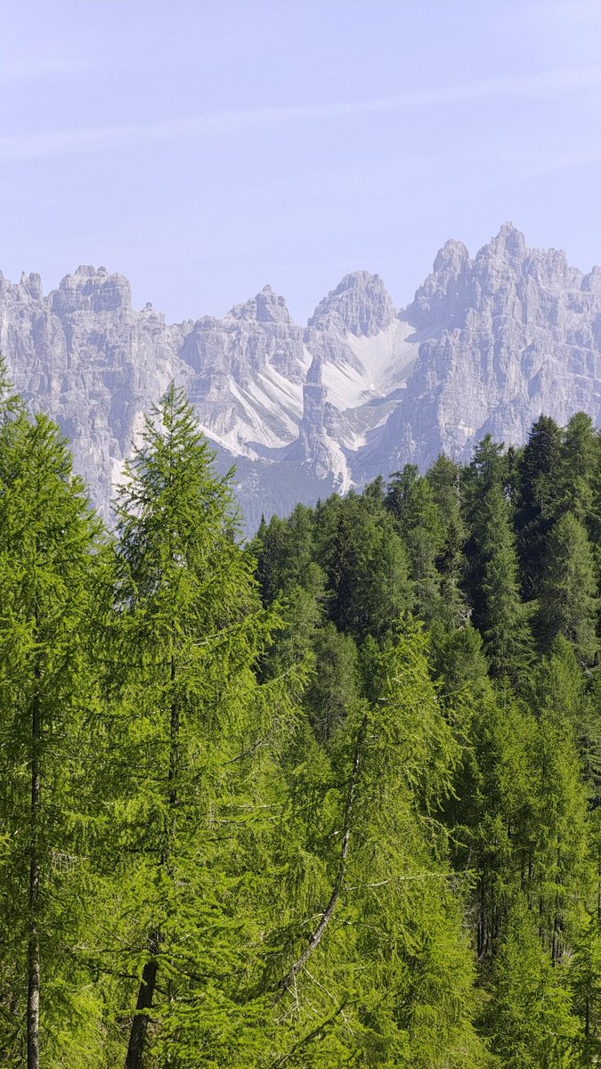 Dolomiti Friulane tweet media