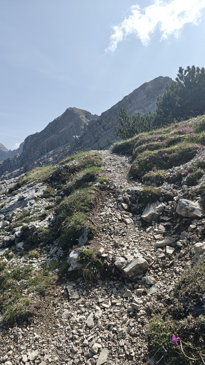 Dolomiti Friulane tweet media