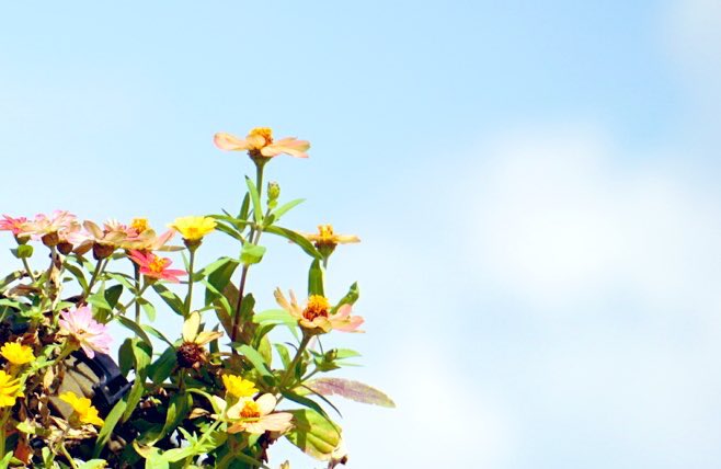 ゆり🎀🍀🎀穏やかな世界が好き tweet media