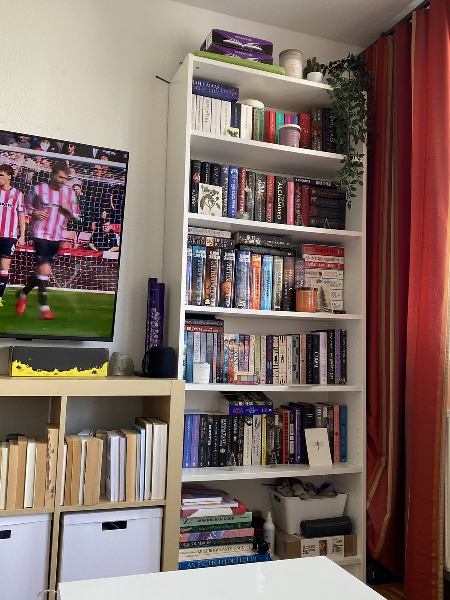 Dins🪻 tweet media