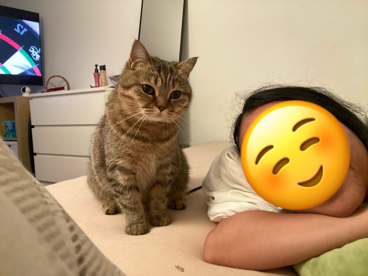 Dins🪻 tweet media