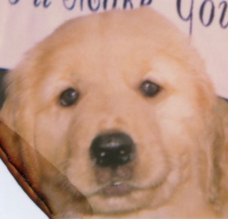 swifties en aprietos ❤️🔥 tweet media