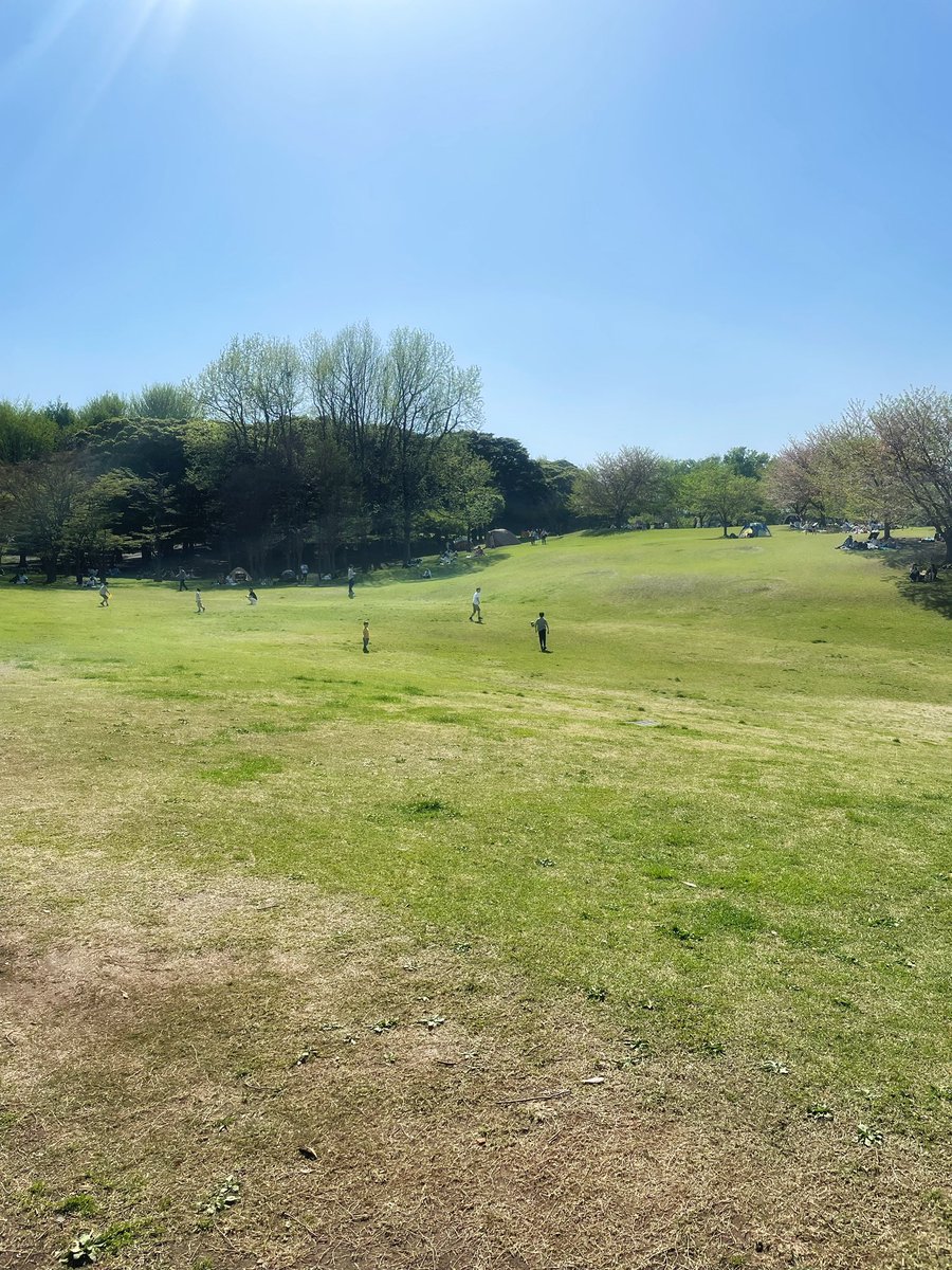 ニャッドマックス tweet media