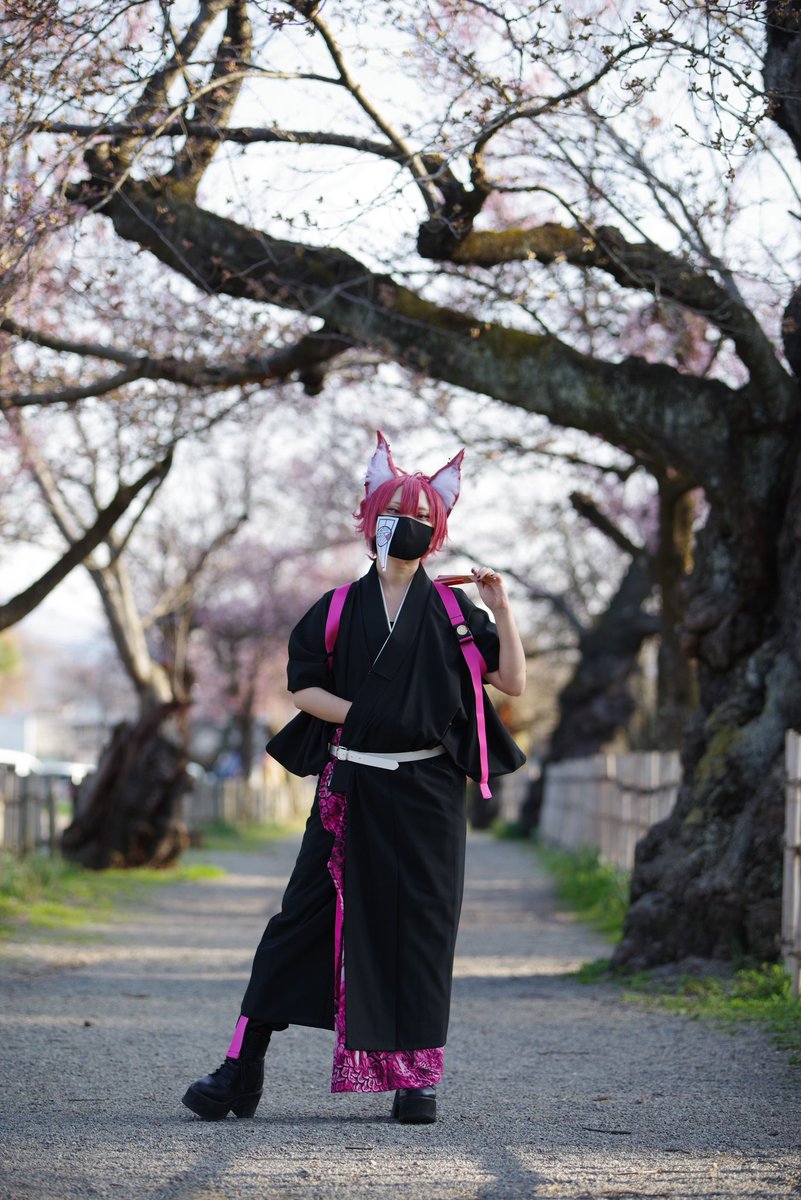 ❀お知らせ❀
本日4/11会津若松市内、鶴ヶ城で行われる #會津白狐伝説 にて狐大使の一狐として参列させて頂く事となりました。

満開の桜と共に貴女と。