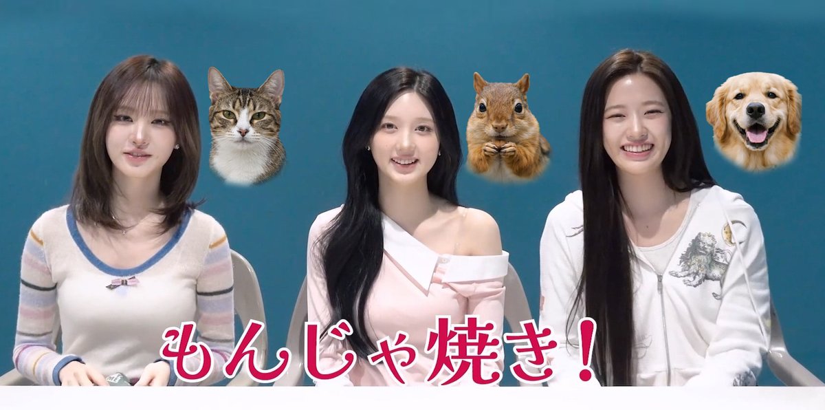 popo0901 tweet media