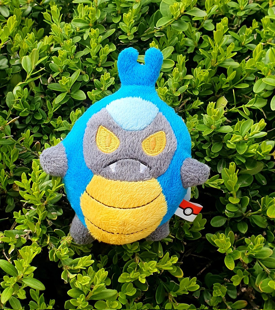 ㅌㅊㅅ 벌레애호가 tweet media