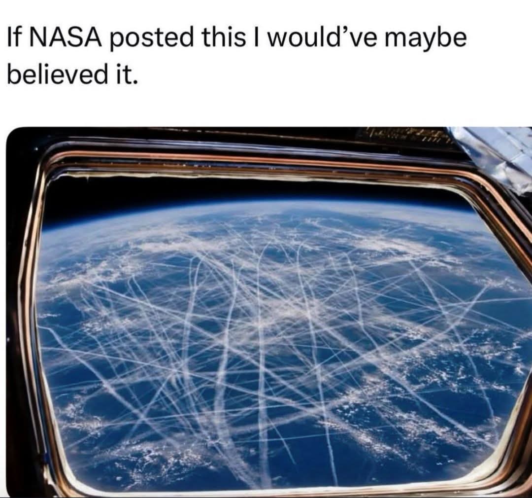 FLAT EARTH LIBRARY tweet media