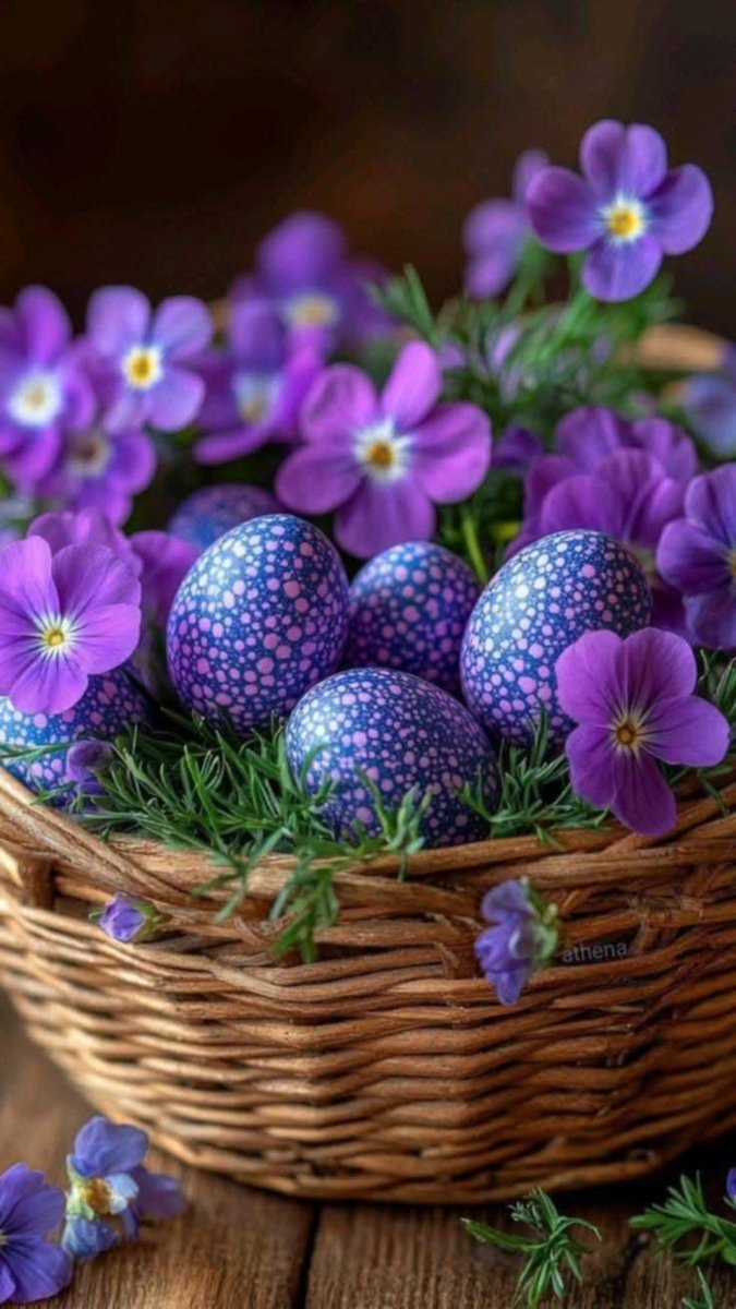 Andrea 🇦🇷 tweet media