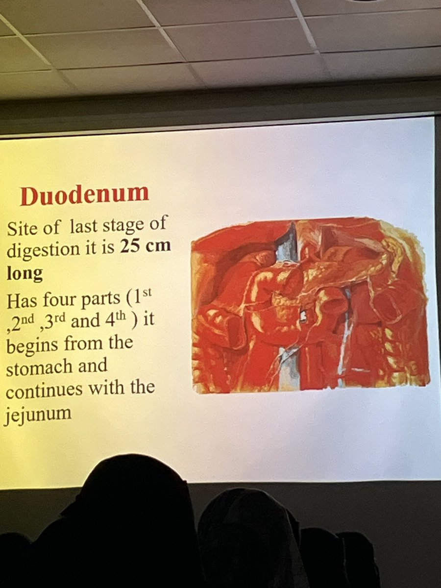 ๐๐๐๐๐ฅ๐๐ณ๐ข๐ณ tweet media