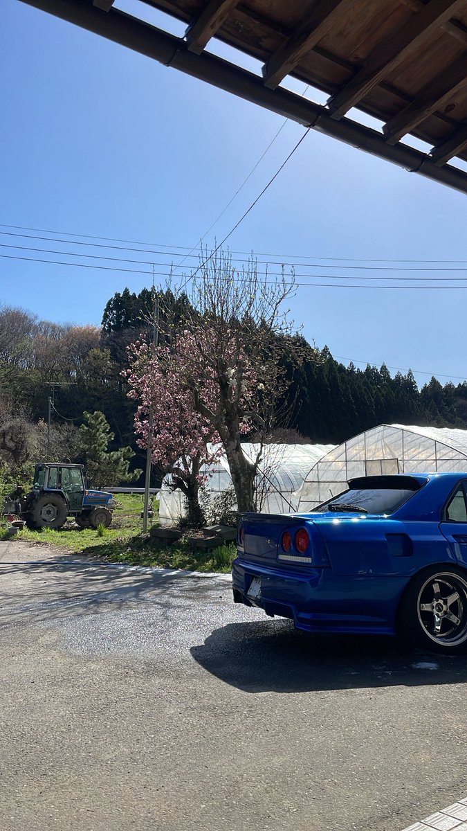 相馬🇯🇵 tweet media