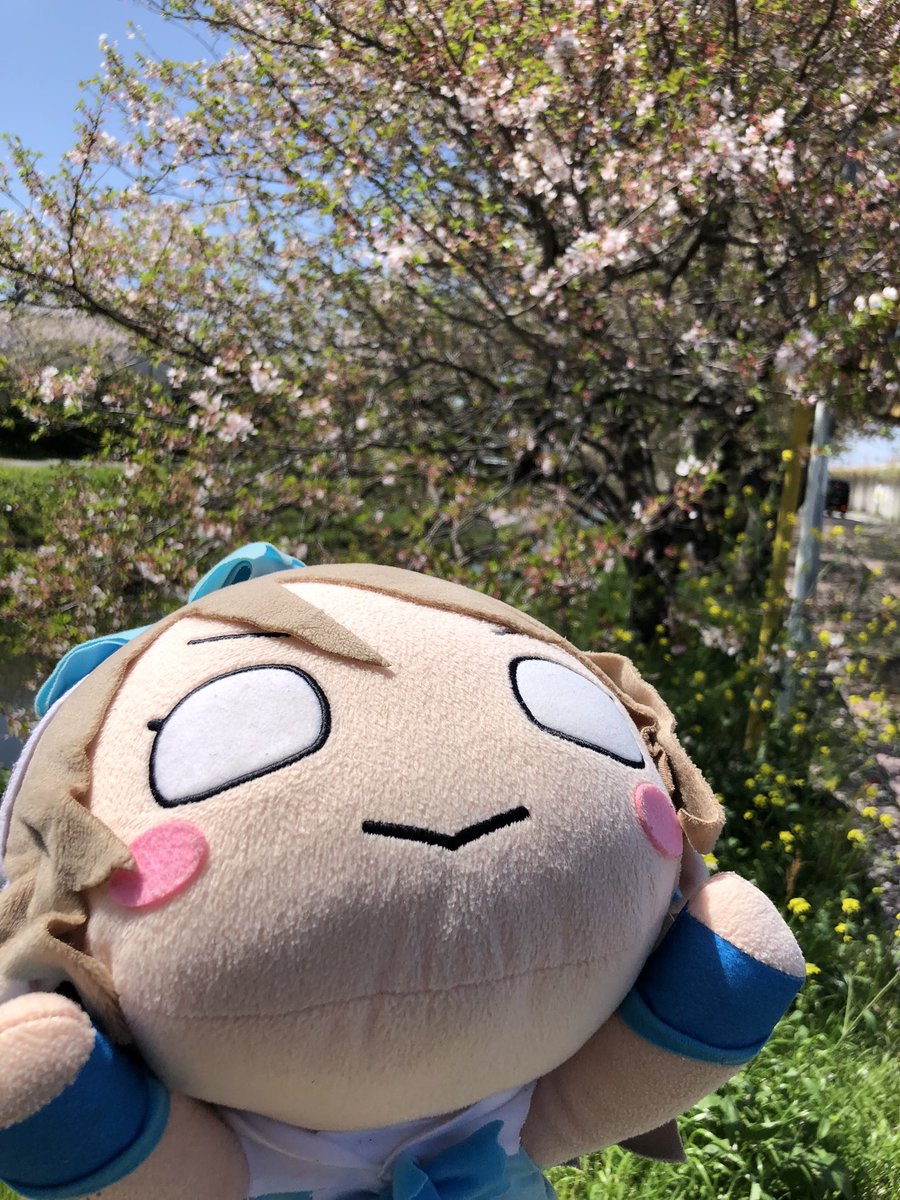 やまゆう tweet media