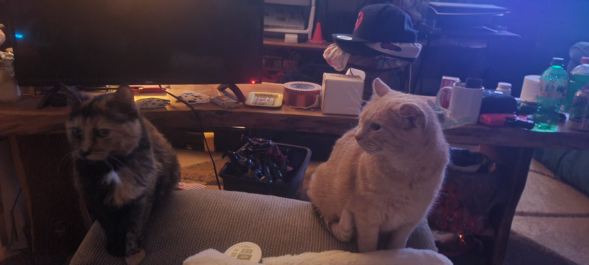 Shawn Force tweet media