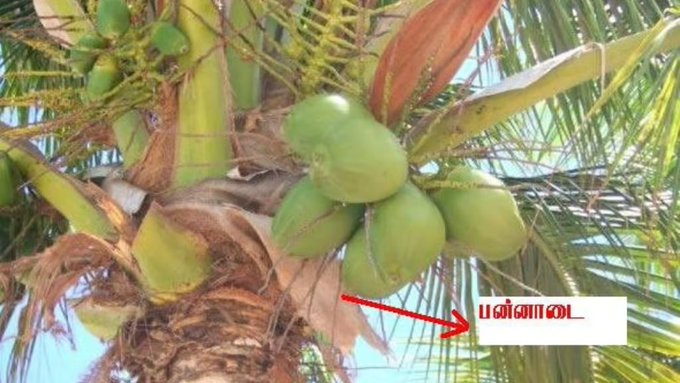 Tamil Labs 2.0 tweet media