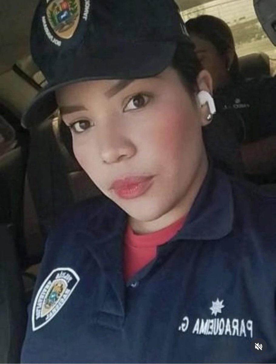 freddyzur tweet media