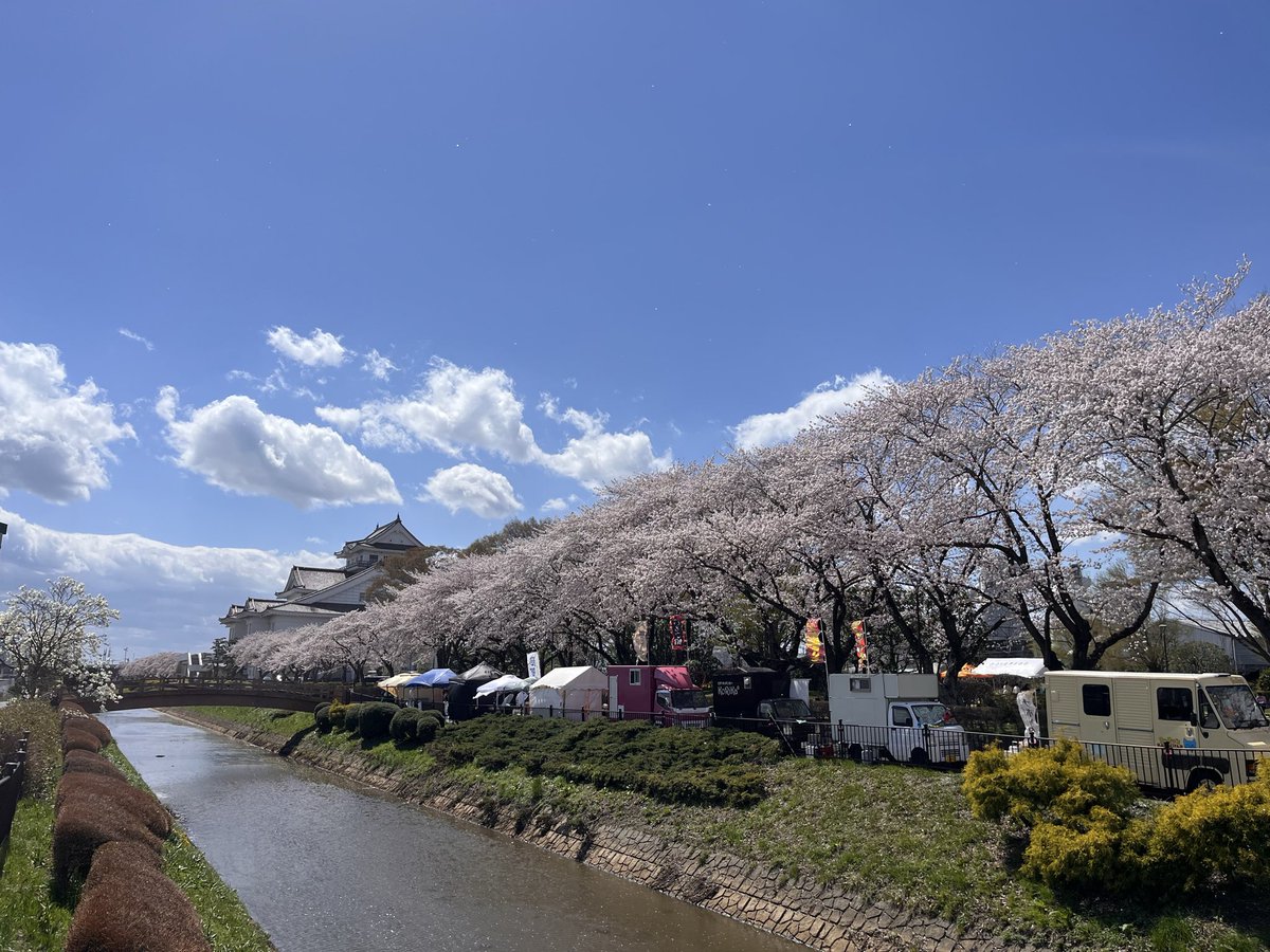 【クロの立ち猫や】商業BL専門ブックカフェ | 宮城亘理 tweet media