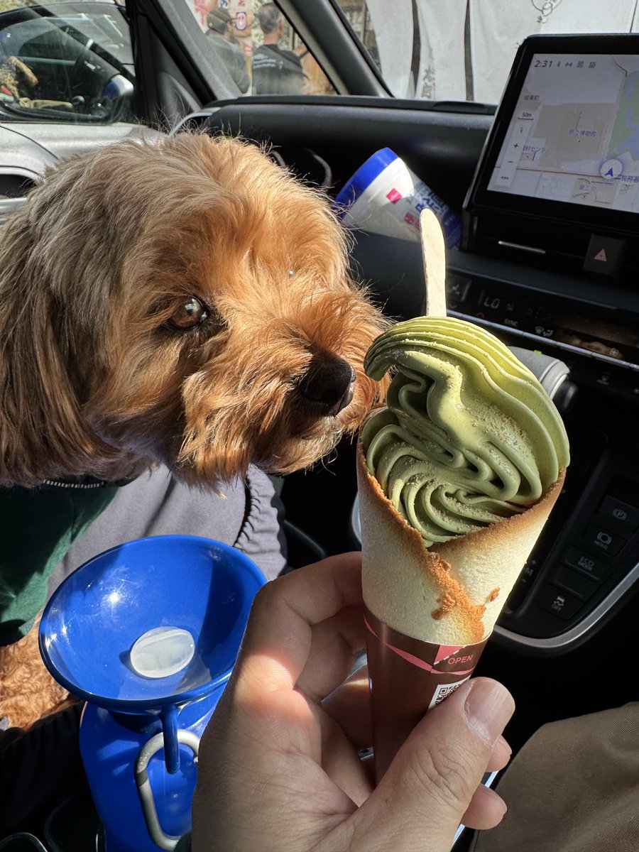 ぺち男（旧まっちゃくりーむふらぺちーの）🧄💸🦆🍒🐙🀄️🚚 tweet media