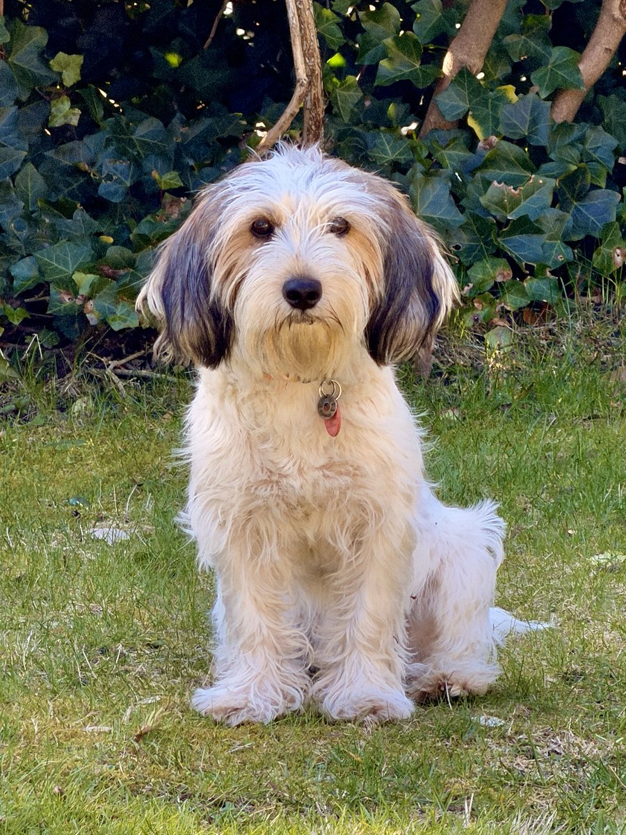 Frank (FOP) tweet media