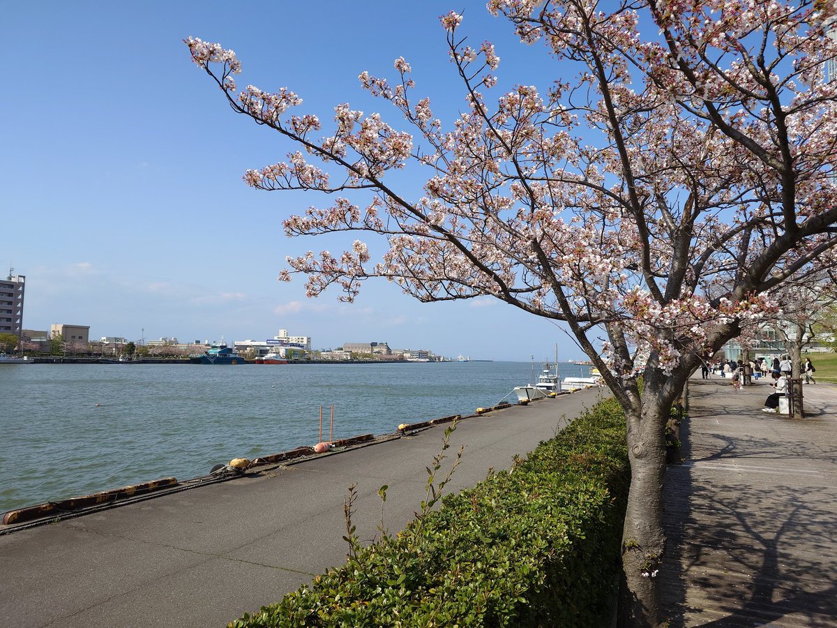 きざきざやん tweet media