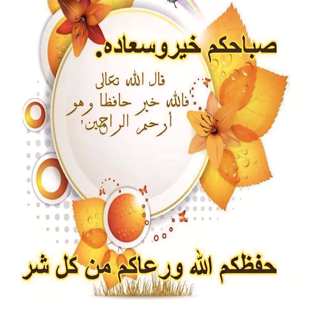 🇪🇬🐟 Dr. Mamdouh A. Tag El-Din 🐟🇪🇬 tweet media