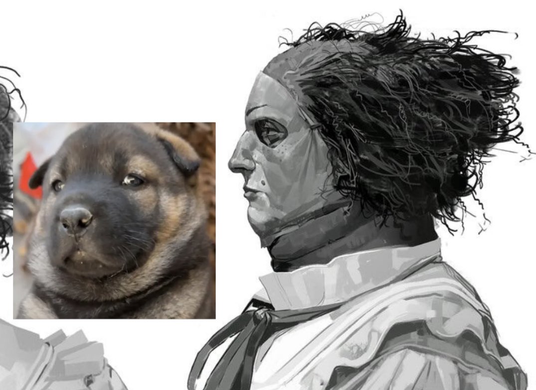 annie nannie 🩷🌷 tweet media