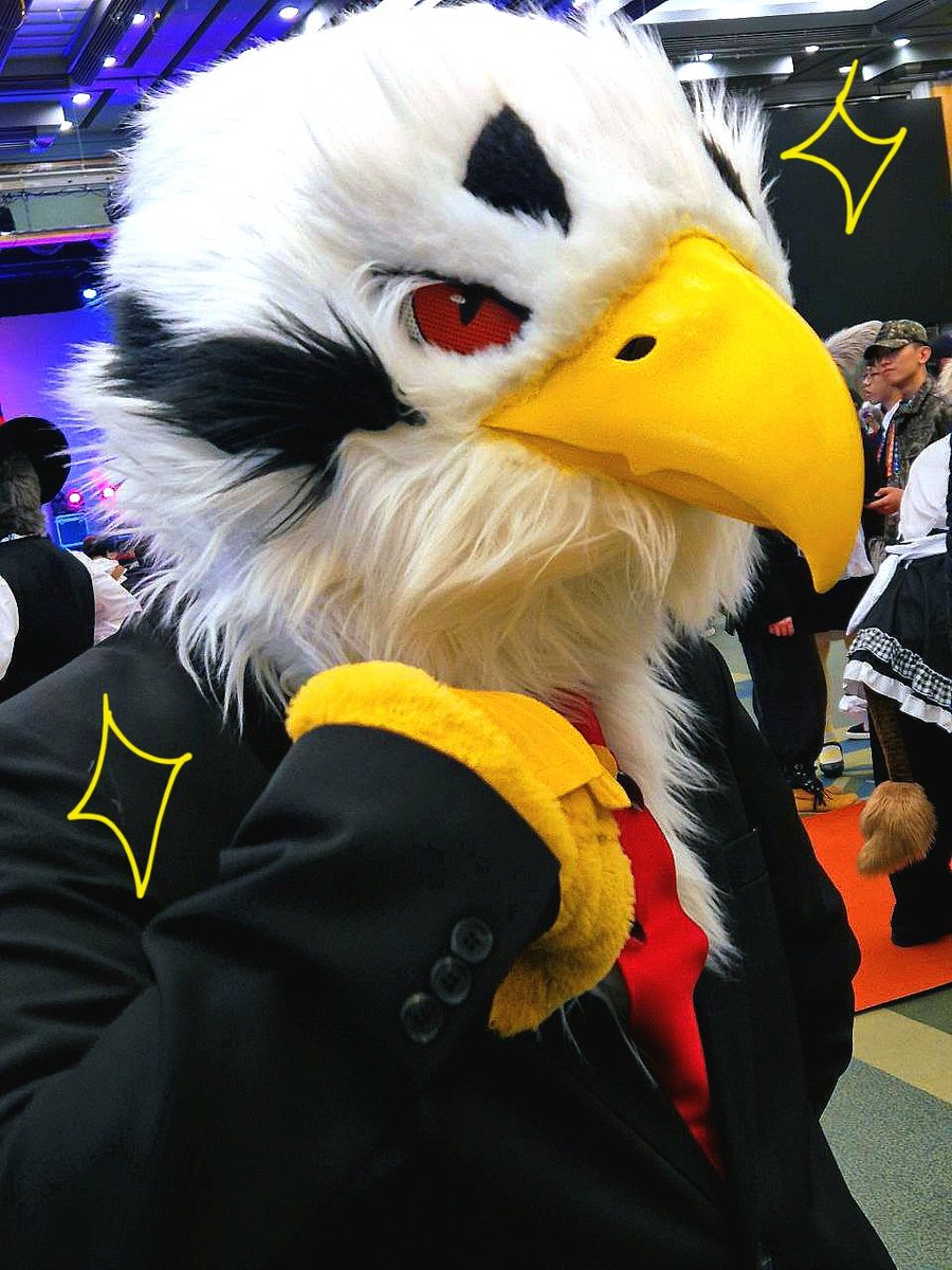 마타도르🔜OFFF tweet media