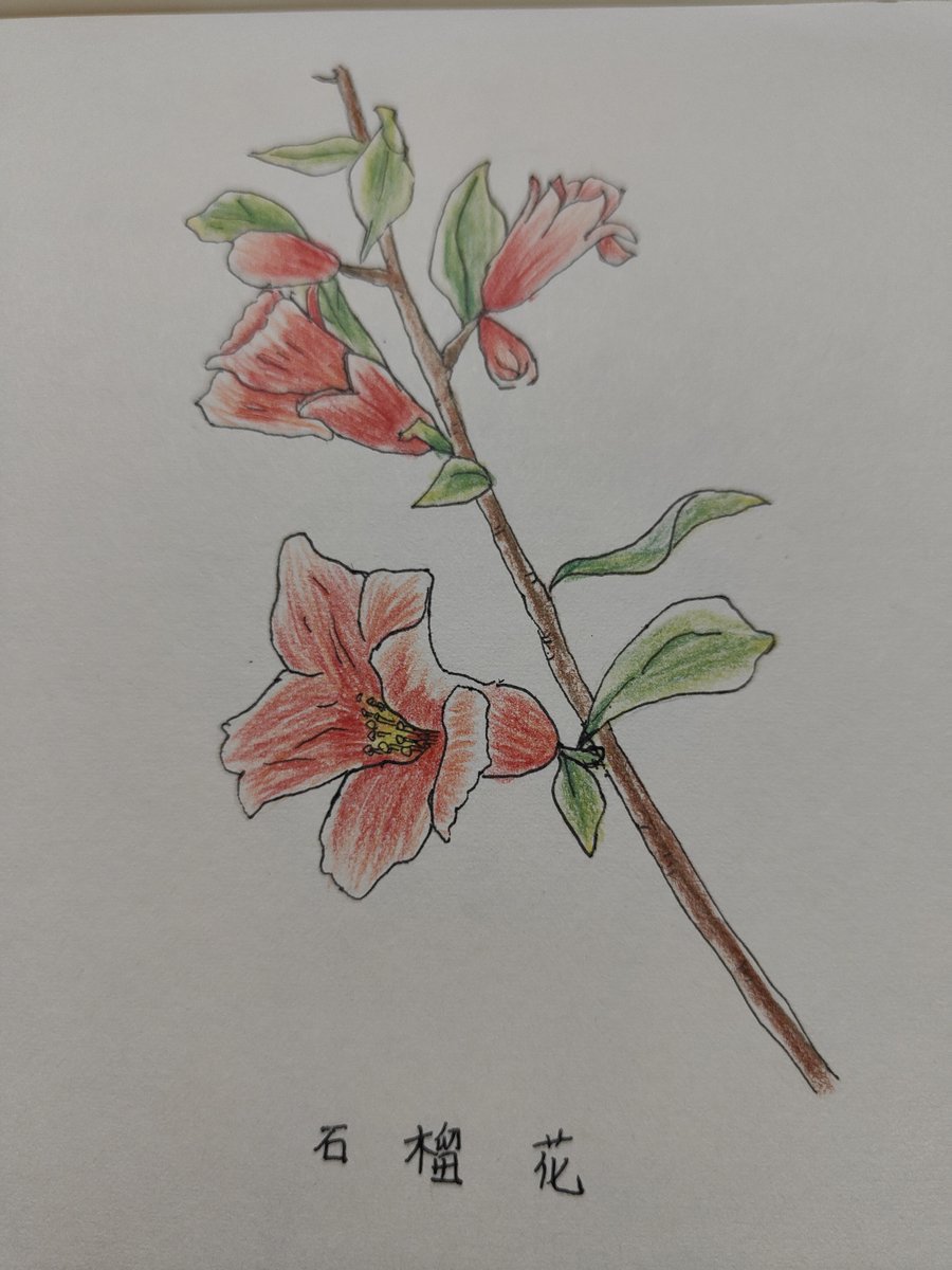 Daniel Yurin tweet media