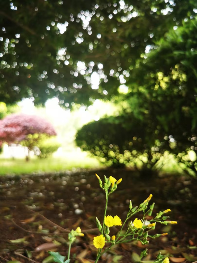 anton kosyrev tweet media