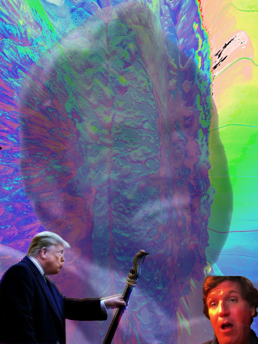 SpicyAmerican (@spicyamerican17) on Twitter photo 