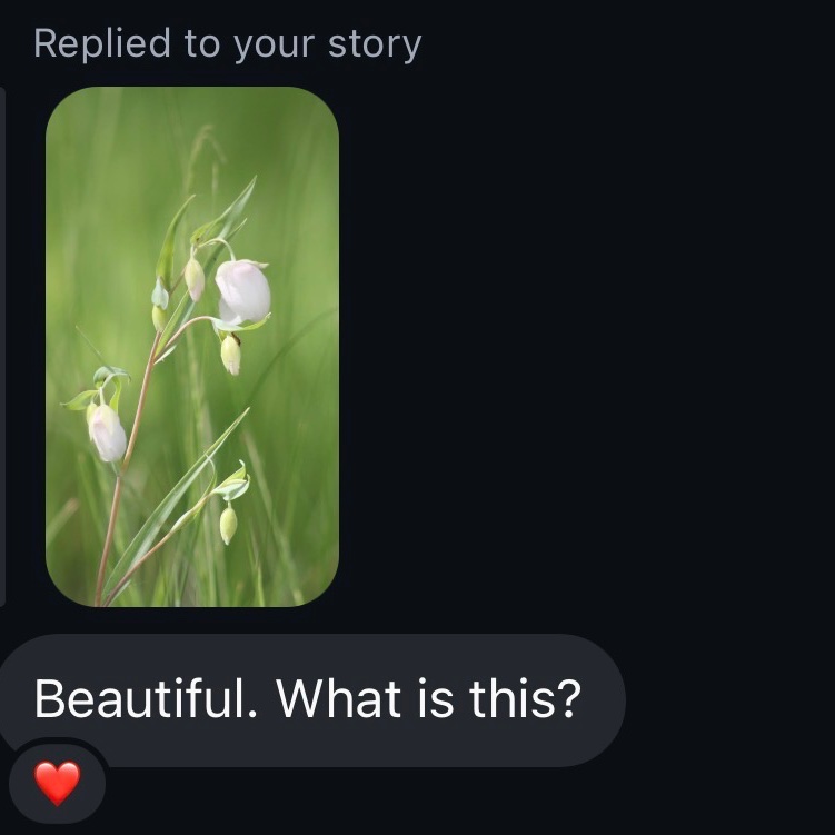 hannaH 🐦‍⬛✖️✖️ tweet media