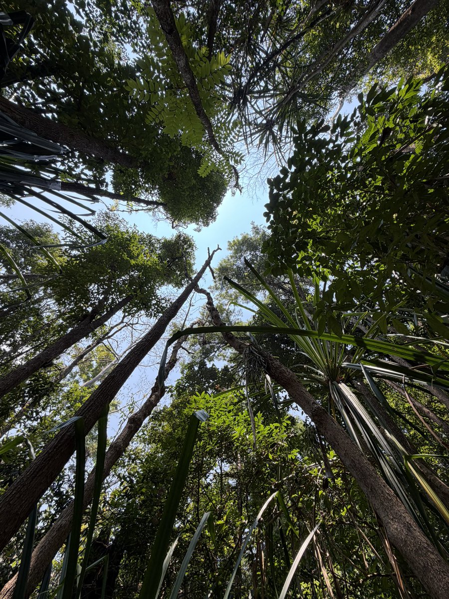 NIGHT_004 tweet media