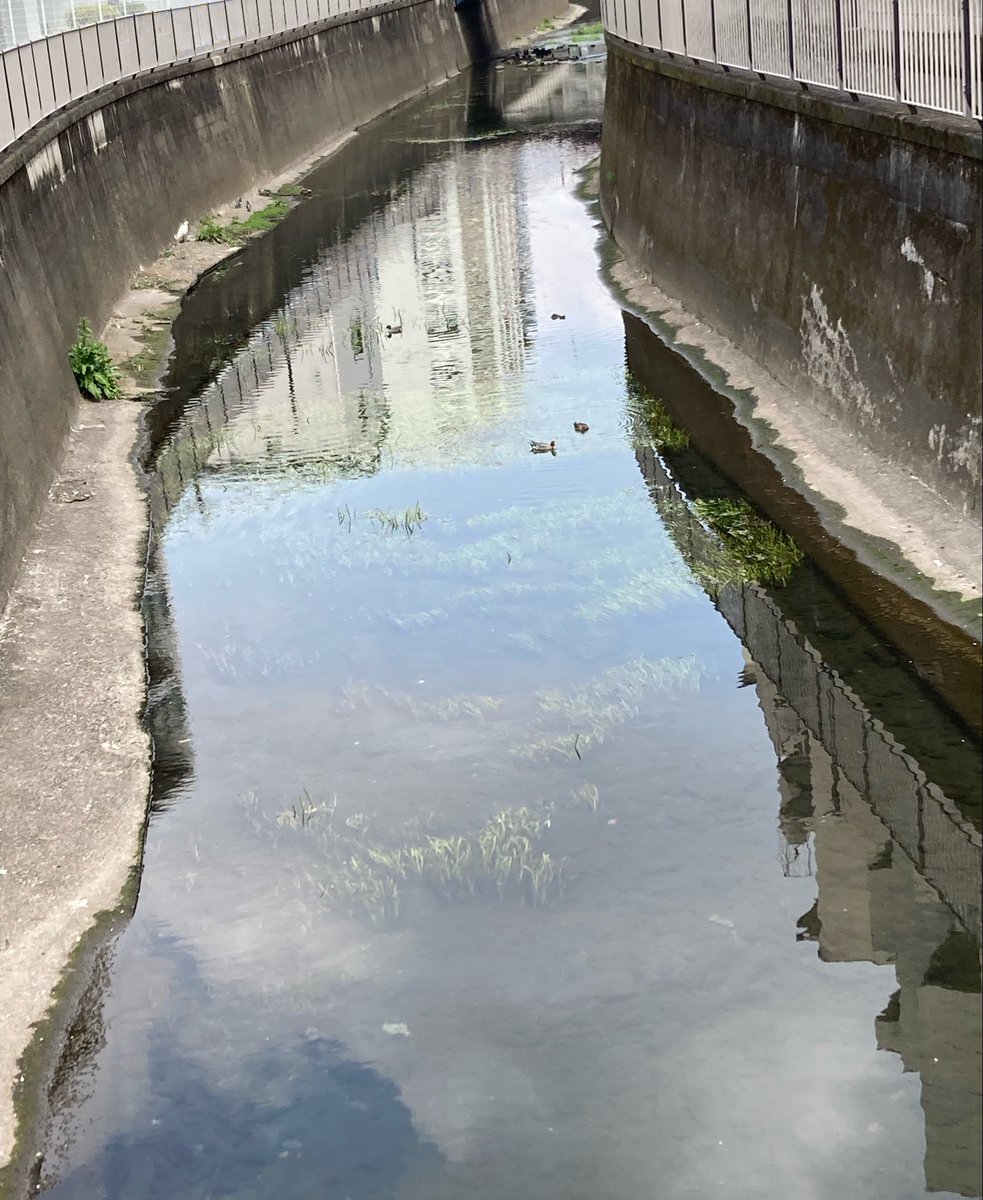 たけいかず実 tweet media