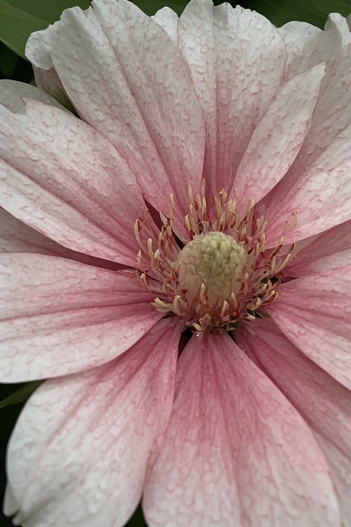 sensationalmo4u's tweet image. “The most common way people give up their power is by thinking they don’t have any.”
- Alice Walker

Enjoy a beautiful Saturday morning my friends! 💕💕💕💕

#NatureLovers #MotivationalQuotes #InspirationDaily #BeautyInNature #NaturePhotography #QuoteOfTheDay #InspireOthers