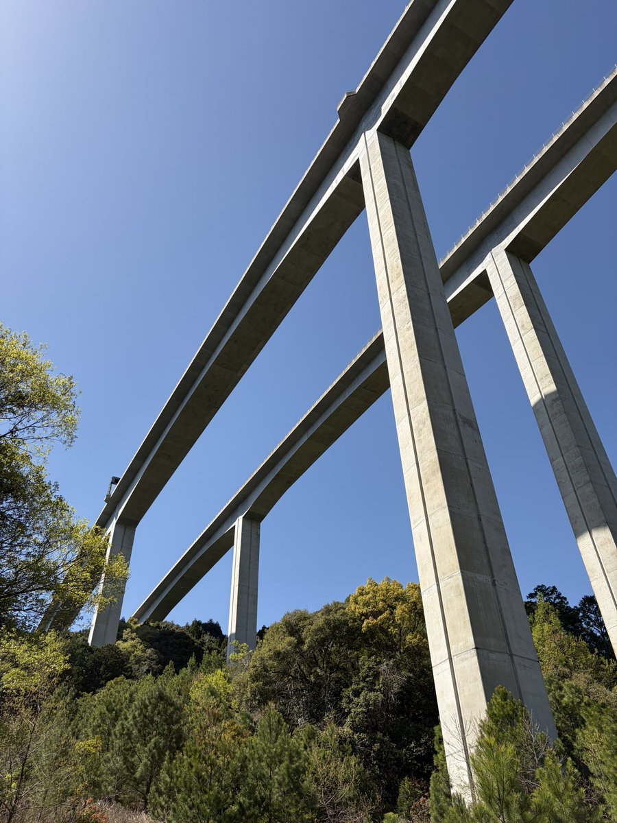 (なかっち) tweet media