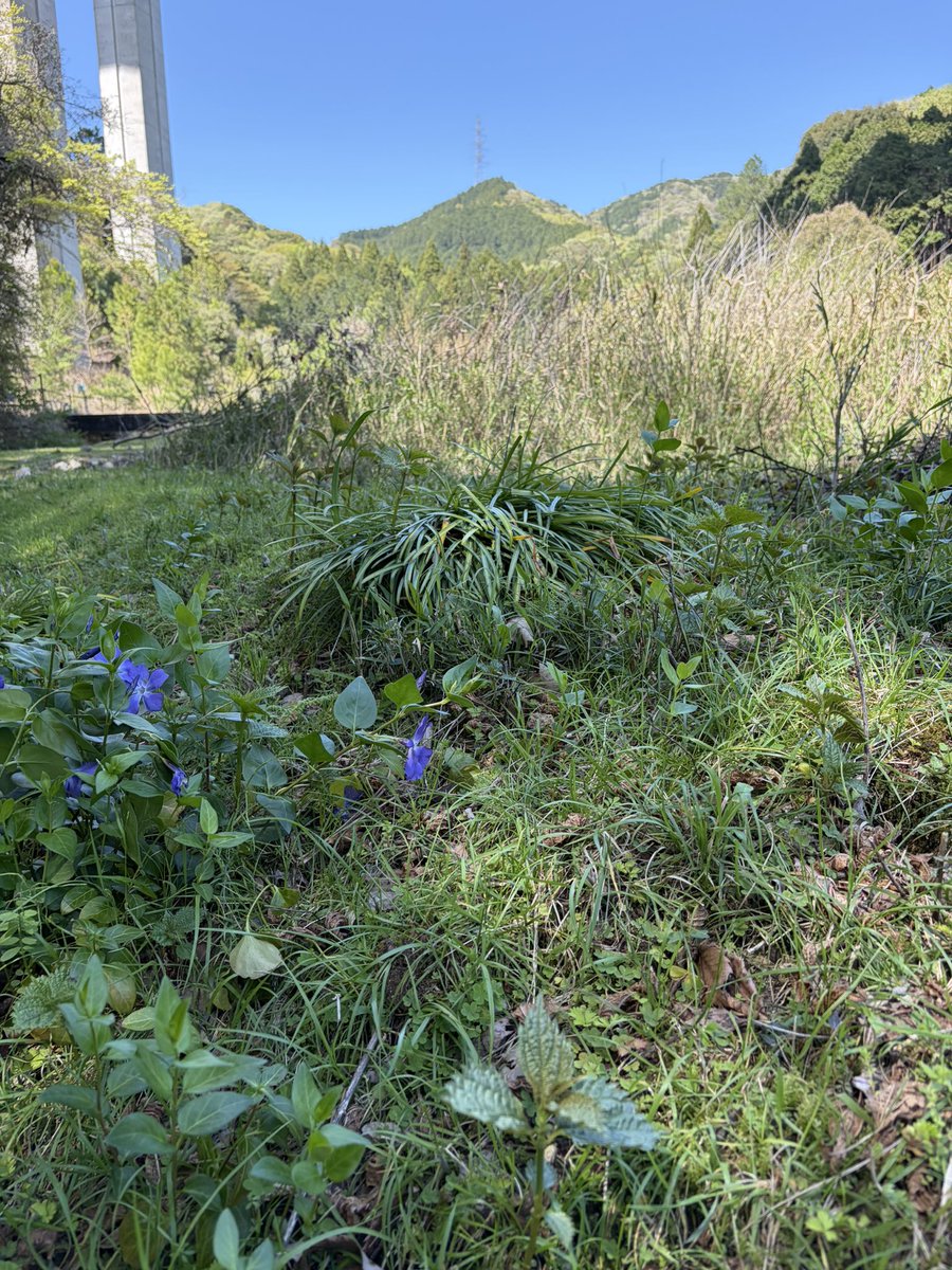 (なかっち) tweet media