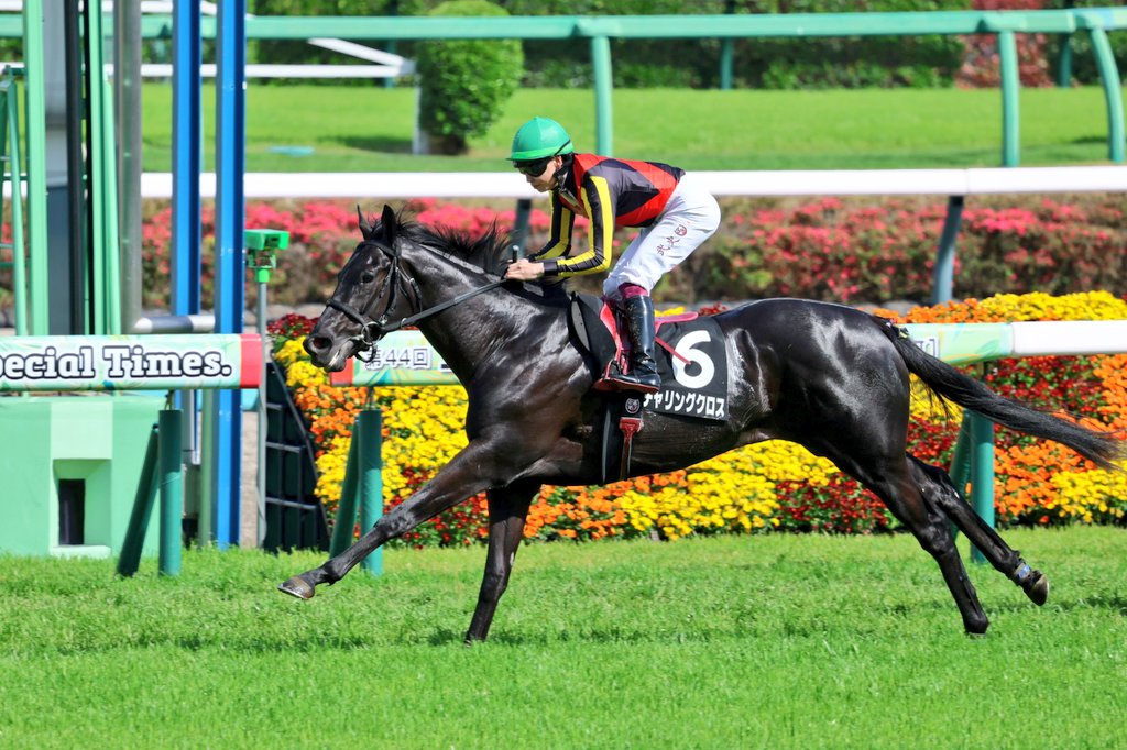 イッシー tweet media