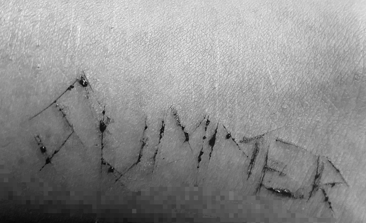 joel.exe777 summer me perdonasplss tweet media