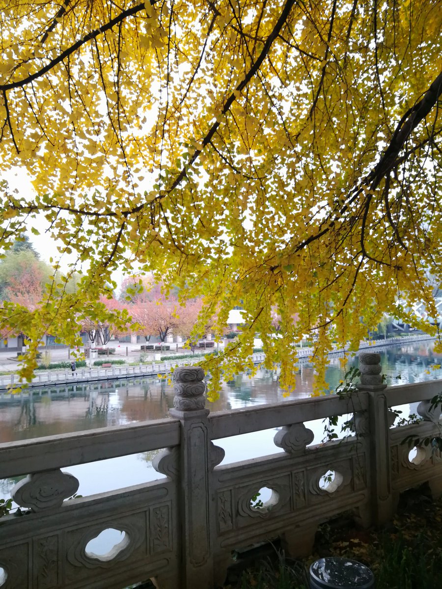 Shunsuke Ishida / 石田俊輔 tweet media