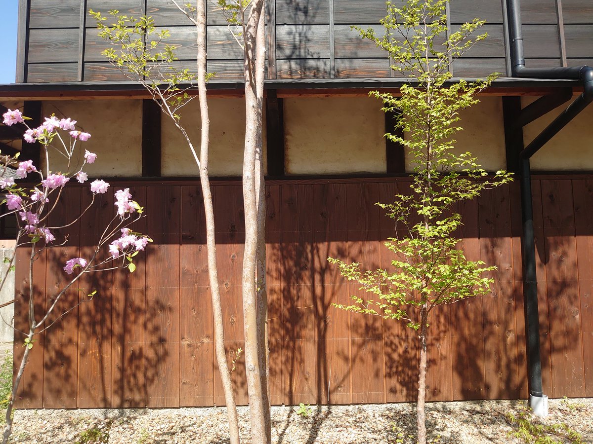 aw（プラモ吉田会所属（八我に向けて🫡 tweet media