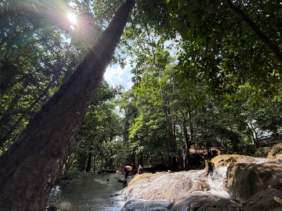 NIGHT_004 tweet media