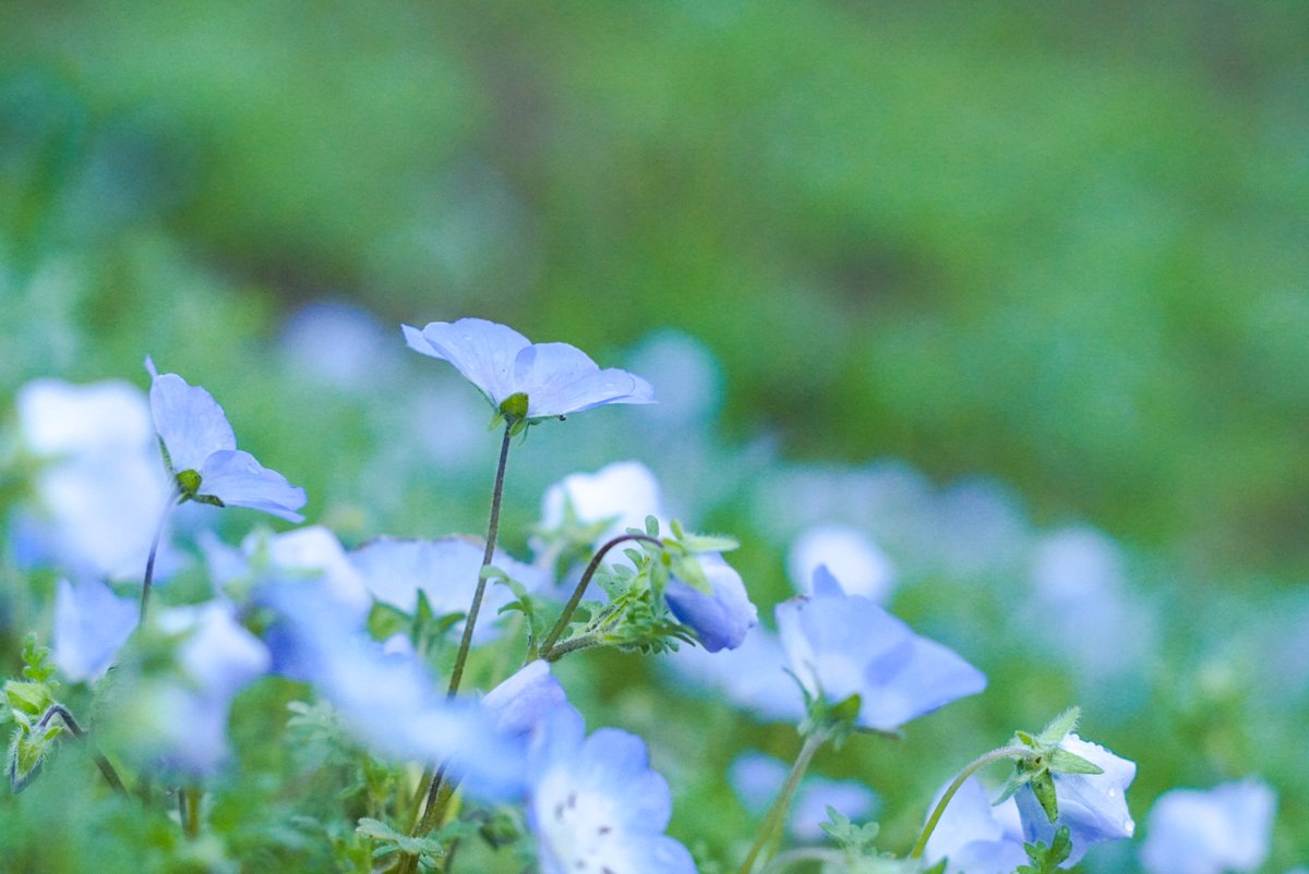 すいと🎺日常用 tweet media